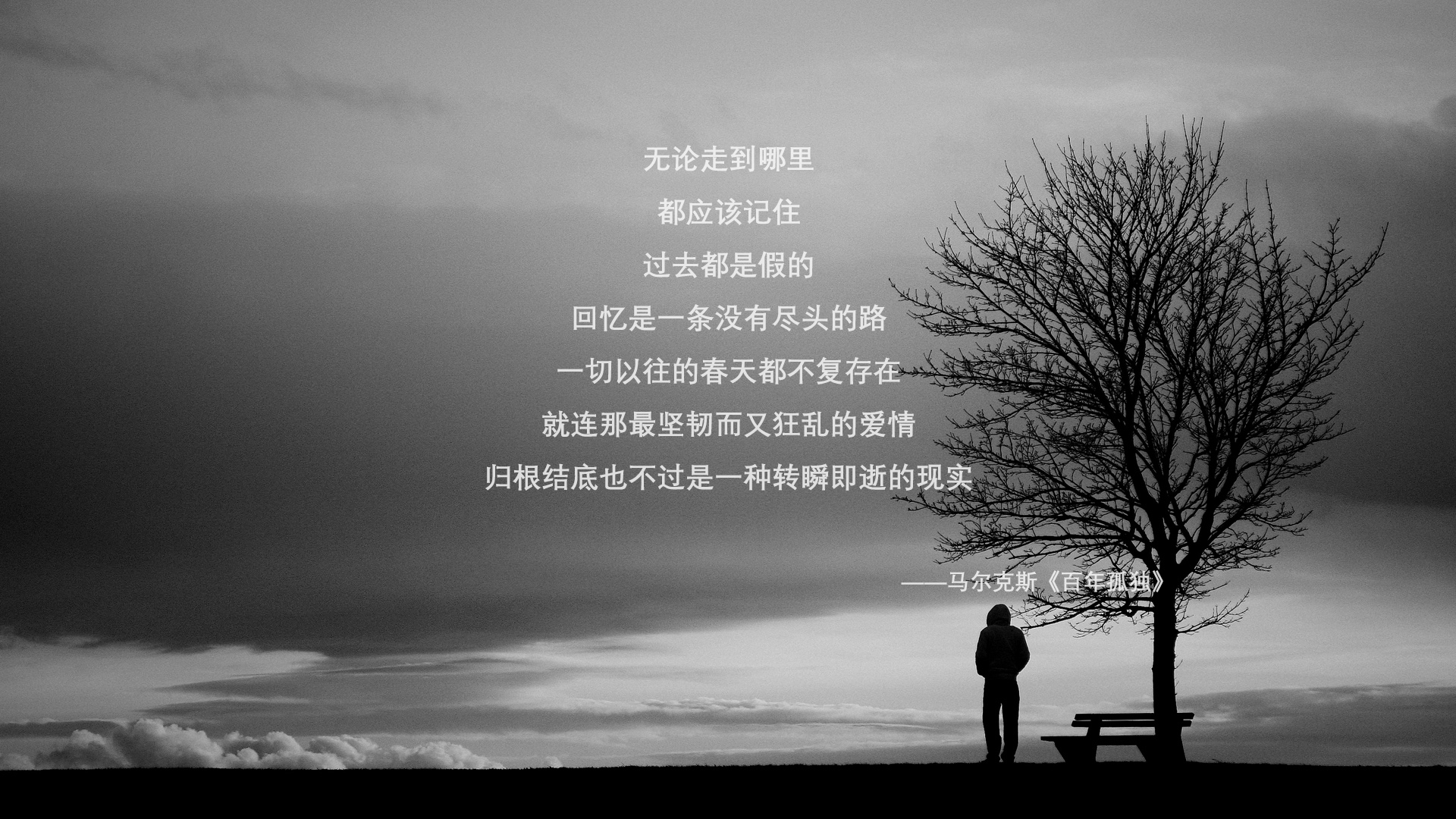 竞技体育后备人才遴选机制优化路径，竞技体育后备人才培养的组织形式