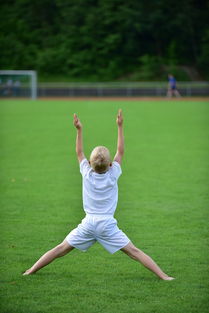 九游娱乐平台-高校运动训练计划动态调整机制研究，运动训练调控