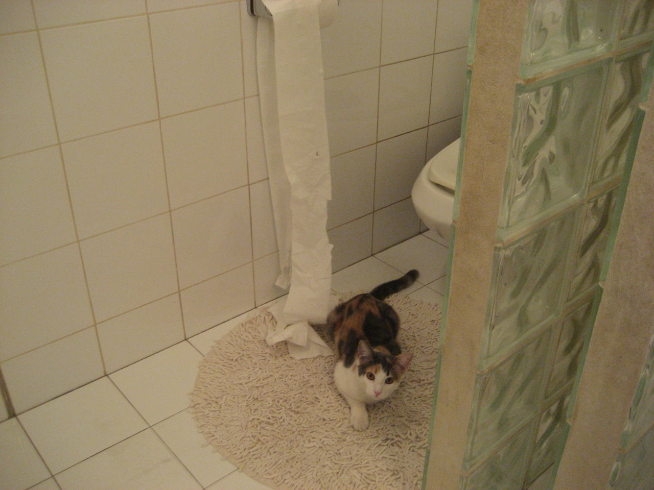 九游.中国官网-Chinese Taipei精彩发挥，2024年混合团体世界杯攻守兼备，世界杯团体赛