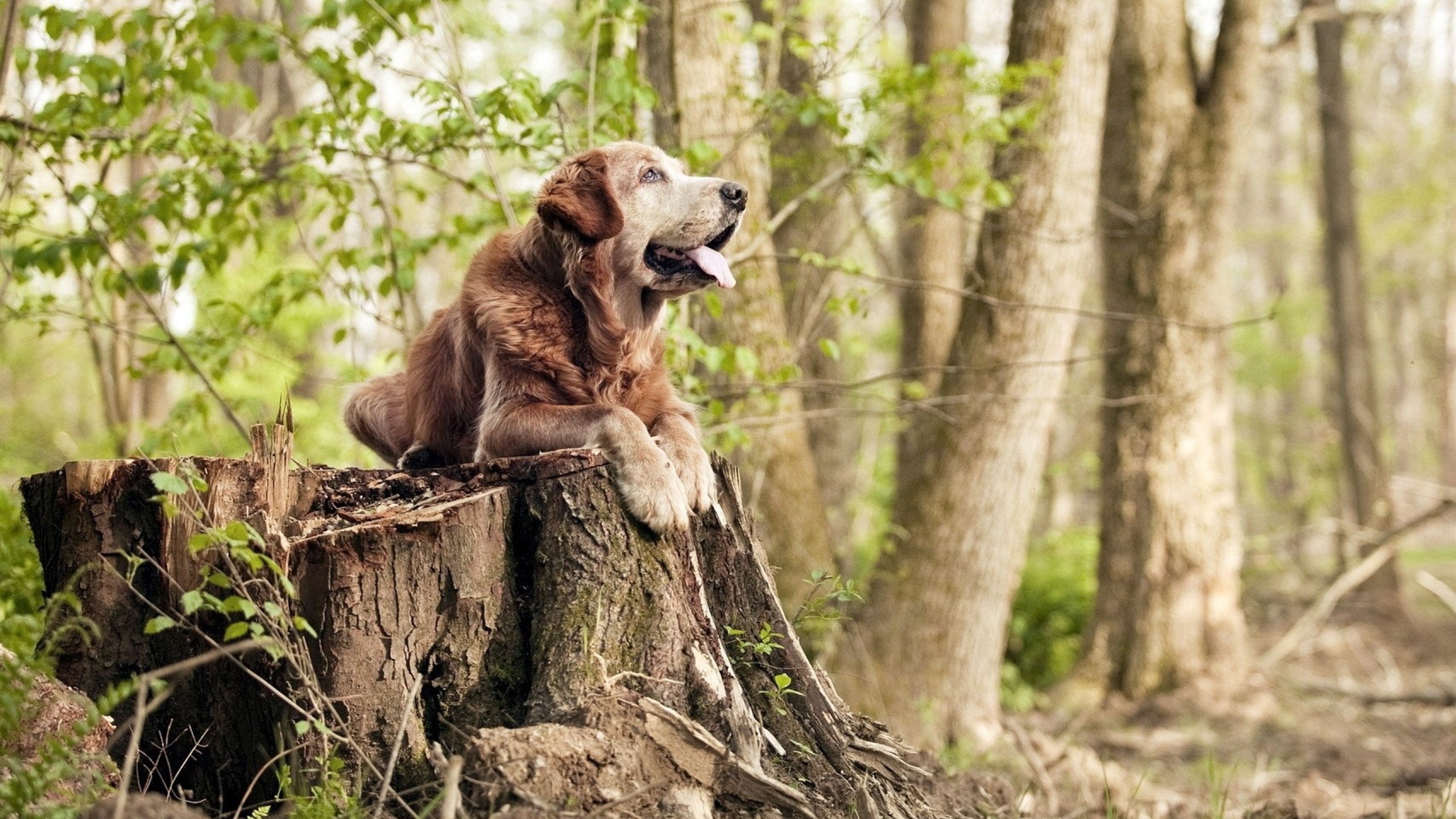 九游官网入口活动-俱乐部忽视球迷服务导致流失加剧，该球员对您的俱乐部抱有怨恨