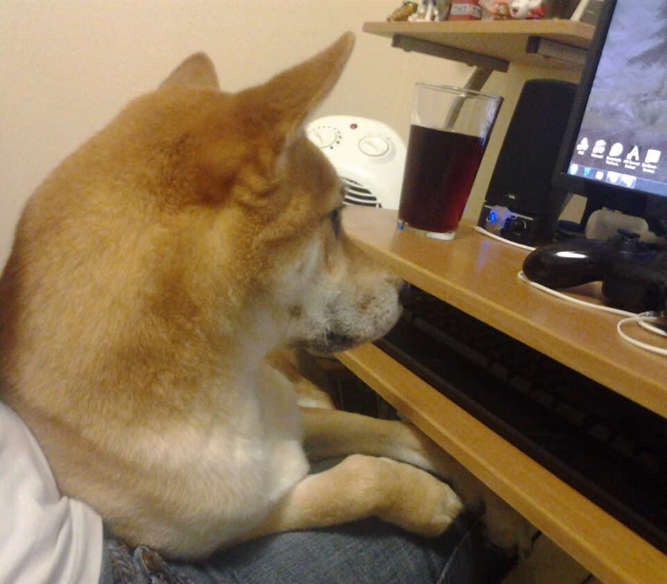 法兰克福三后卫体系发挥稳定防守出色,法兰克福队长是谁