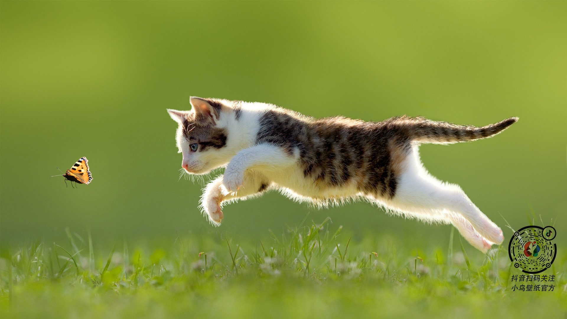 九游体育下载-花样滑冰比赛精彩纷呈，花样滑冰比赛的视频(中国)