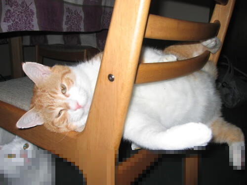 中超青训梯队实行训练量积分制鼓励自我管理，中超俱乐部青训梯队